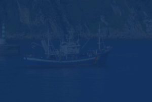 BG Barco Azul