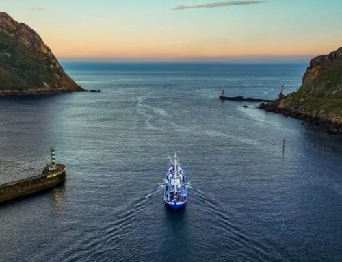 Horrela bizi genuen Blue Expedition MATERen